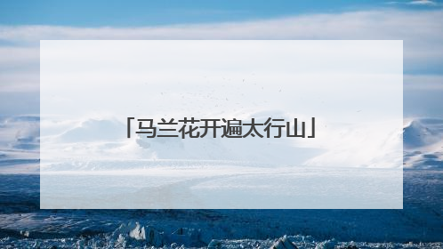 马兰花开遍太行山