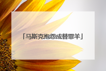 马斯克抱怨成替罪羊