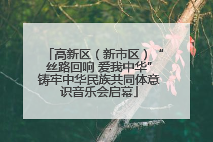 高新区（新市区）“丝路回响 爱我中华”铸牢中华民族共同体意识音乐会启幕