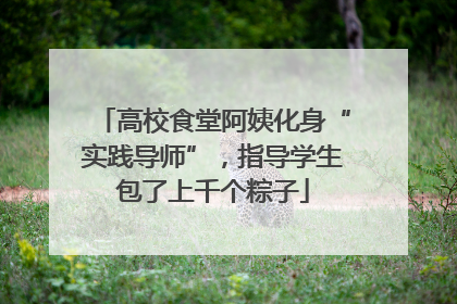 高校食堂阿姨化身“实践导师”，指导学生包了上千个粽子