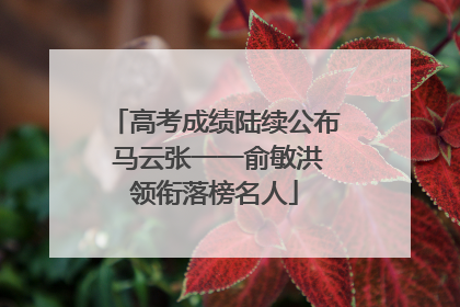 高考成绩陆续公布 马云张一一俞敏洪领衔落榜名人