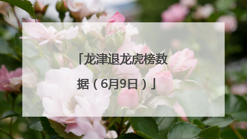 龙津退龙虎榜数据（6月9日）