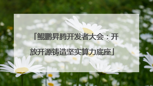 鲲鹏昇腾开发者大会：开放开源铸造坚实算力底座