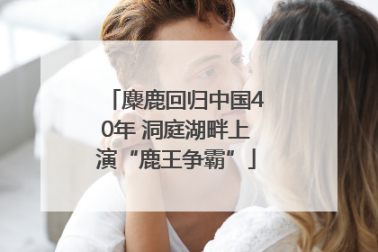 麋鹿回归中国40年 洞庭湖畔上演“鹿王争霸”
