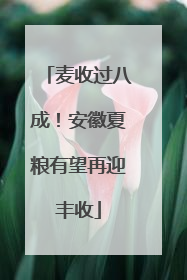麦收过八成！安徽夏粮有望再迎丰收