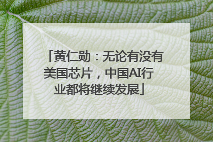 黄仁勋：无论有没有美国芯片，中国AI行业都将继续发展