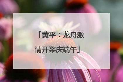 黄平：龙舟激情开桨庆端午