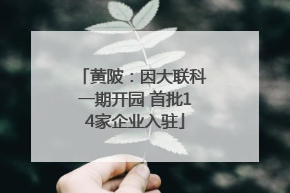 黄陂：因大联科一期开园 首批14家企业入驻