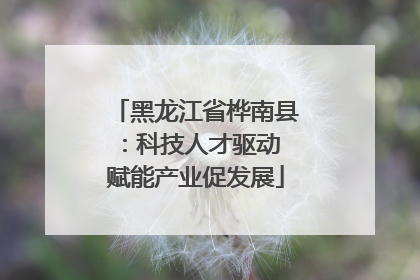 黑龙江省桦南县：科技人才驱动 赋能产业促发展