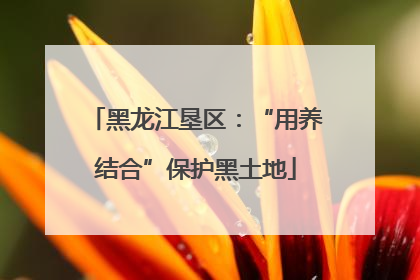 黑龙江垦区：“用养结合”保护黑土地