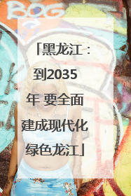 黑龙江：到2035年 要全面建成现代化绿色龙江