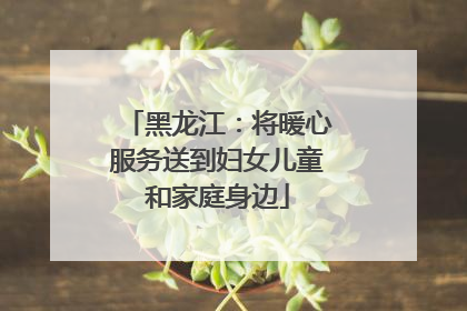 黑龙江：将暖心服务送到妇女儿童和家庭身边