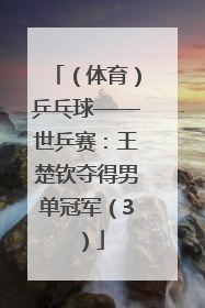 （体育）乒乓球——世乒赛：王楚钦夺得男单冠军（3）