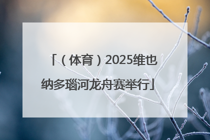 （体育）2025维也纳多瑙河龙舟赛举行
