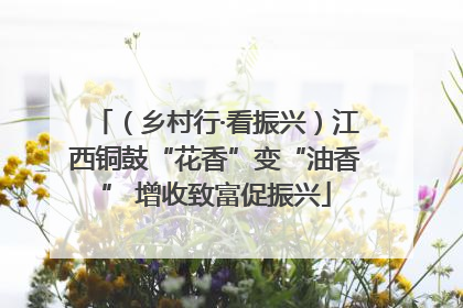 （乡村行·看振兴）江西铜鼓“花香”变“油香” 增收致富促振兴