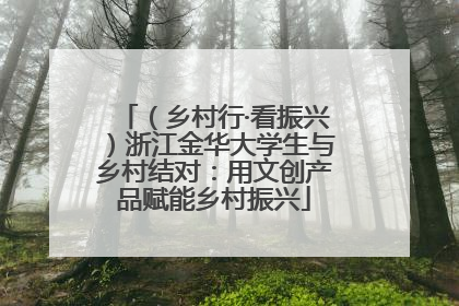 （乡村行·看振兴）浙江金华大学生与乡村结对：用文创产品赋能乡村振兴