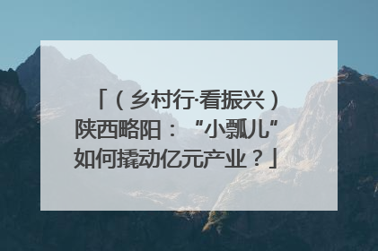 （乡村行·看振兴）陕西略阳：“小瓢儿”如何撬动亿元产业？