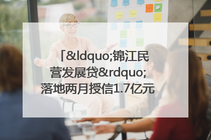 “锦江民营发展贷”落地两月授信1.7亿元，惠及118家民企