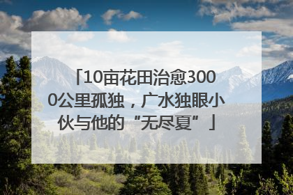 10亩花田治愈3000公里孤独，广水独眼小伙与他的“无尽夏”