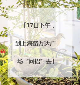 17日下午，到上海路万达广场“问招”去
