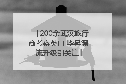 200余武汉旅行商考察英山 毕昇漂流升级引关注