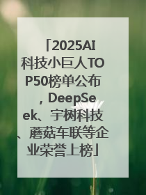 2025AI科技小巨人TOP50榜单公布，DeepSeek、宇树科技、蘑菇车联等企业荣誉上榜