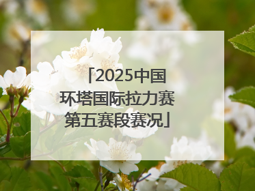 2025中国环塔国际拉力赛第五赛段赛况