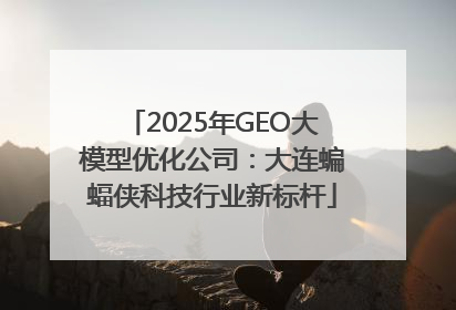 2025年GEO大模型优化公司：大连蝙蝠侠科技行业新标杆