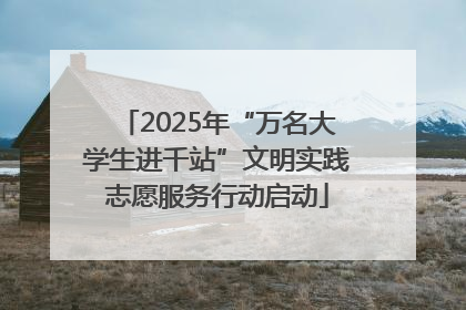 2025年“万名大学生进千站”文明实践志愿服务行动启动