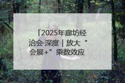 2025年廊坊经洽会·深度｜放大“会展+”乘数效应 打造消费新场景