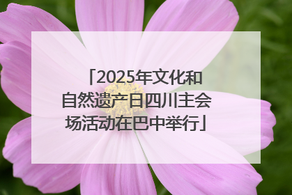 2025年文化和自然遗产日四川主会场活动在巴中举行