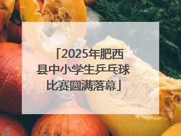 2025年肥西县中小学生乒乓球比赛圆满落幕