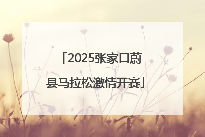 2025张家口蔚县马拉松激情开赛