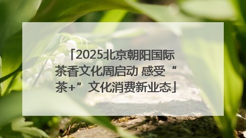 2025北京朝阳国际茶香文化周启动 感受“茶+”文化消费新业态