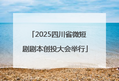 2025四川省微短剧剧本创投大会举行