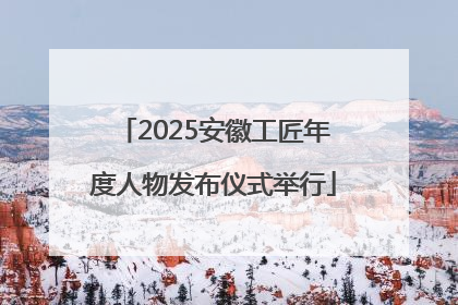 2025安徽工匠年度人物发布仪式举行