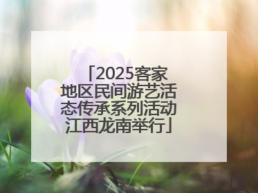 2025客家地区民间游艺活态传承系列活动江西龙南举行