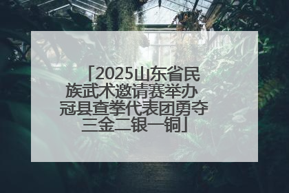 2025山东省民族武术邀请赛举办 冠县查拳代表团勇夺三金二银一铜