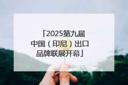 2025第九届中国（印尼）出口品牌联展开幕