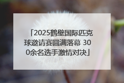 2025鹤壁国际匹克球邀请赛圆满落幕 300余名选手激情对决