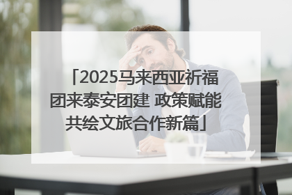 2025马来西亚祈福团来泰安团建 政策赋能共绘文旅合作新篇