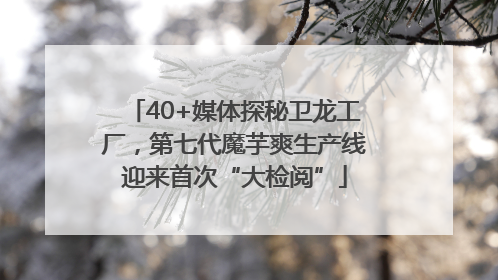 40+媒体探秘卫龙工厂，第七代魔芋爽生产线迎来首次“大检阅”