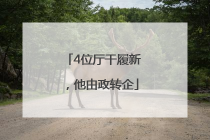 4位厅干履新，他由政转企
