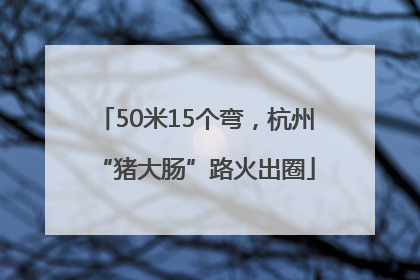 50米15个弯，杭州“猪大肠”路火出圈