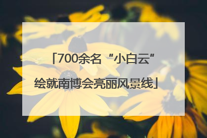 700余名“小白云”绘就南博会亮丽风景线