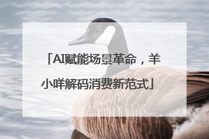 AI赋能场景革命，羊小咩解码消费新范式