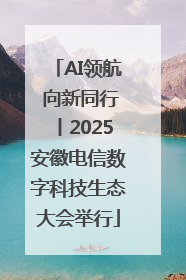 AI领航 向新同行丨2025安徽电信数字科技生态大会举行