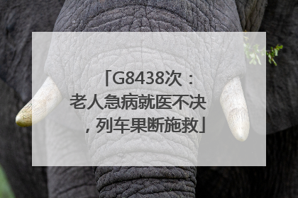 G8438次：老人急病就医不决，列车果断施救