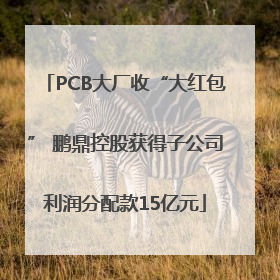 PCB大厂收“大红包” 鹏鼎控股获得子公司利润分配款15亿元